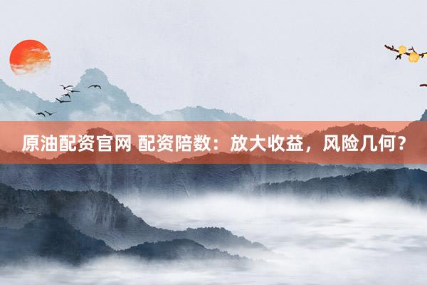 原油配资官网 配资陪数：放大收益，风险几何？