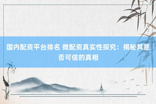 国内配资平台排名 微配资真实性探究：揭秘其是否可信的真相