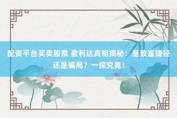 配资平台买卖股票 盈利达真相揭秘：是致富捷径还是骗局？一探究竟！