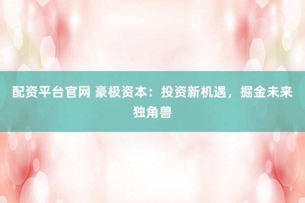 配资平台官网 豪极资本：投资新机遇，掘金未来独角兽