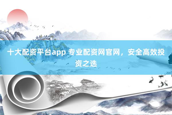 十大配资平台app 专业配资网官网，安全高效投资之选