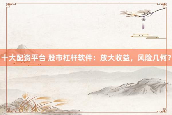 十大配资平台 股市杠杆软件：放大收益，风险几何？