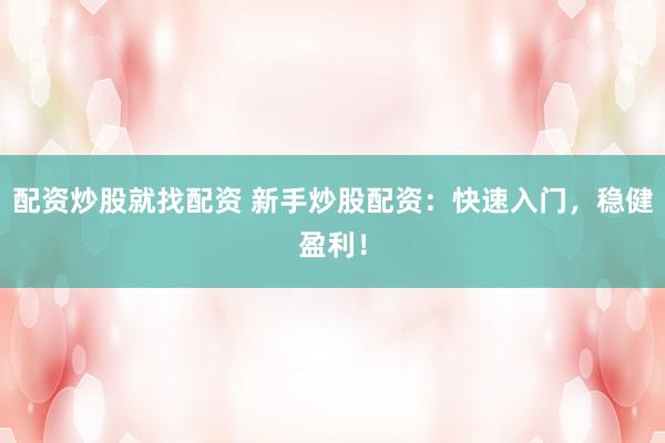 配资炒股就找配资 新手炒股配资：快速入门，稳健盈利！