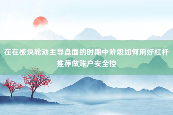 在在板块轮动主导盘面的时期中阶段如何用好杠杆推荐做账户安全控