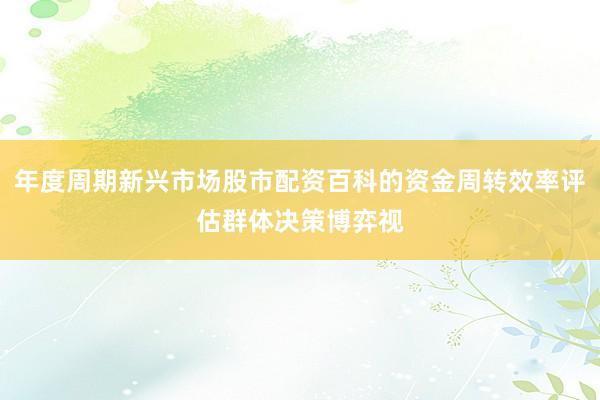 年度周期新兴市场股市配资百科的资金周转效率评估群体决策博弈视