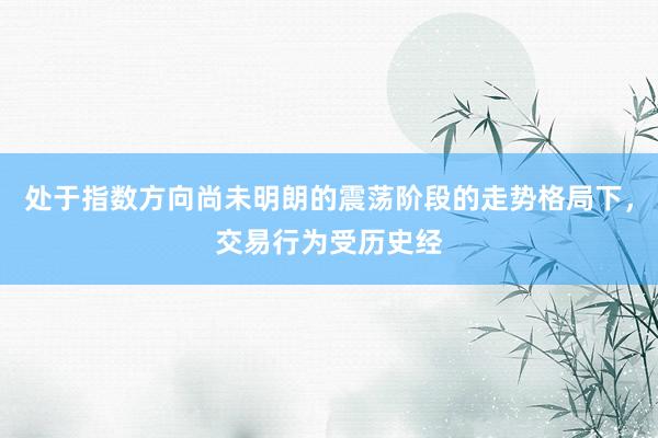 处于指数方向尚未明朗的震荡阶段的走势格局下，交易行为受历史经