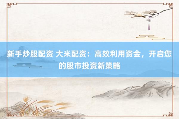 新手炒股配资 大米配资:高效利用资金,开启您的股市投资新策略