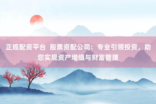 正规配资平台 股票资配公司:专业引领投资,助您实现资产增值与财富管理